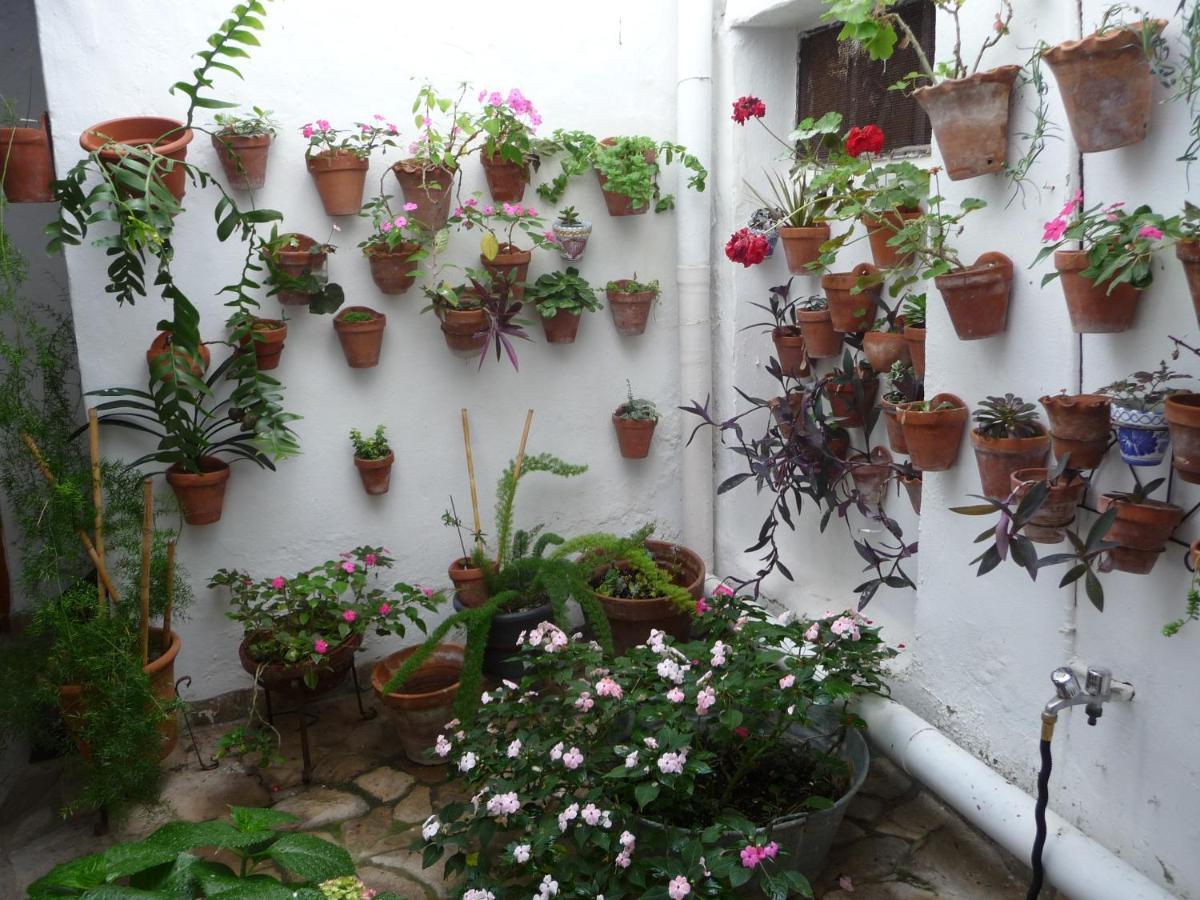 Casa Sol Villa Vejer de la Frontera Dış mekan fotoğraf